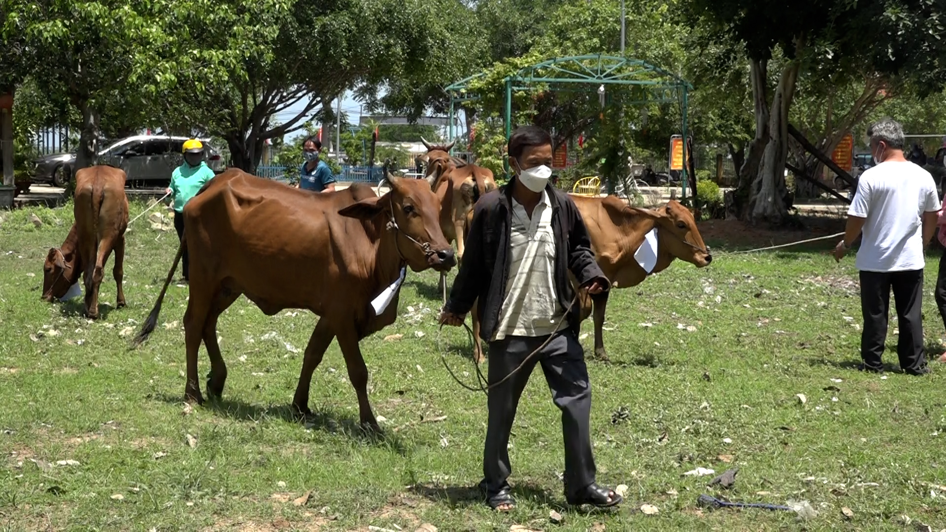 Huyện nỗ lực thực hiện chương trình mục tiêu quốc gia phát triển kinh tế xã hội vùng đồng bào dân tộc thiểu số và miền núi